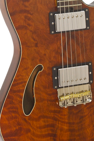 SOLD Asher Guitars 2015 Hollow T Deluxe Custom #842 with California Redwood top and custom wound pickups